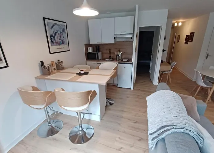 Le Petit Cozy - T2 En Centre-Ville
