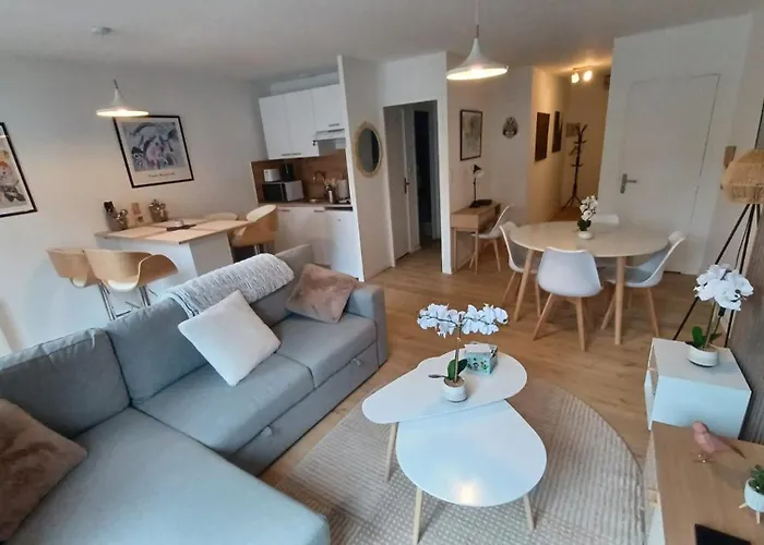 Le Petit Cozy - T2 En Centre-Ville