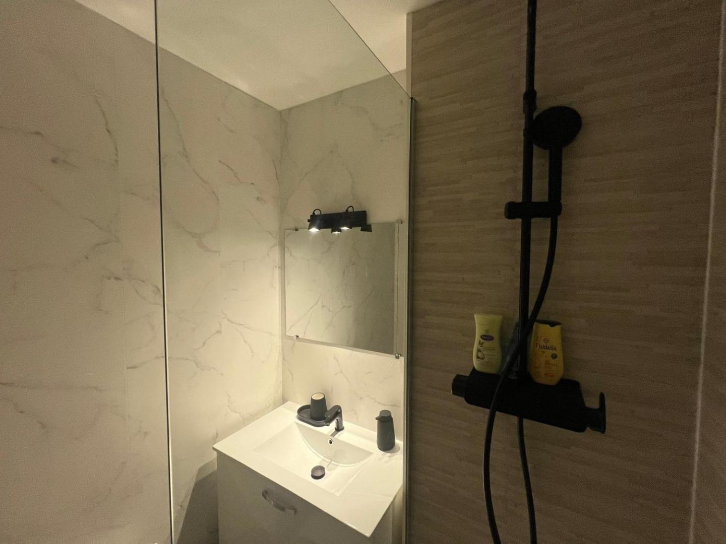Apartment Le Petit Cozy - T2 En Centre-ville Poitiers